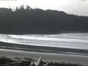 ./images/calvert/beach/20160212/beach20160212_124502.jpg