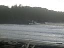 ./images/calvert/beach/20160212/beach20160212_160503.jpg
