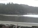 ./images/calvert/beach/20160214/beach20160214_122501.jpg