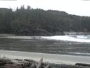 ./images/calvert/beach/20160215/beach20160215_110501.jpg