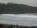 ./images/calvert/beach/20160216/beach20160216_090502.jpg