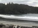 ./images/calvert/beach/20160218/beach20160218_124503.jpg