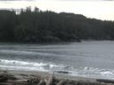 ./images/calvert/beach/20160219/beach20160219_105002.jpg