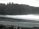 ./images/calvert/beach/20160220/beach20160220_071502.jpg