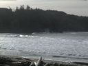 ./images/calvert/beach/20160220/beach20160220_115501.jpg
