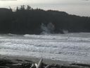 ./images/calvert/beach/20160220/beach20160220_121002.jpg