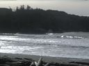 ./images/calvert/beach/20160220/beach20160220_123502.jpg