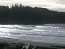 ./images/calvert/beach/20160220/beach20160220_125002.jpg