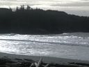 ./images/calvert/beach/20160220/beach20160220_125502.jpg