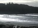./images/calvert/beach/20160220/beach20160220_130002.jpg