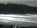 ./images/calvert/beach/20160220/beach20160220_130503.jpg