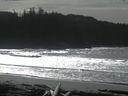 ./images/calvert/beach/20160220/beach20160220_131003.jpg