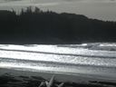 ./images/calvert/beach/20160220/beach20160220_131502.jpg