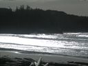 ./images/calvert/beach/20160220/beach20160220_132002.jpg