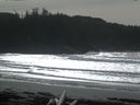 ./images/calvert/beach/20160220/beach20160220_132503.jpg