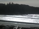 ./images/calvert/beach/20160220/beach20160220_133502.jpg