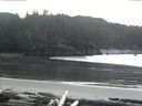 ./images/calvert/beach/20160220/beach20160220_154002.jpg