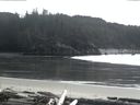 ./images/calvert/beach/20160220/beach20160220_160003.jpg