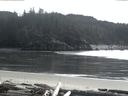 ./images/calvert/beach/20160220/beach20160220_160503.jpg