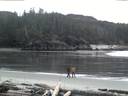 ./images/calvert/beach/20160220/beach20160220_180503.jpg