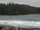 ./images/calvert/beach/20160221/beach20160221_112501.jpg