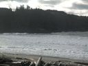 ./images/calvert/beach/20160222/beach20160222_112002.jpg