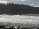 ./images/calvert/beach/20160222/beach20160222_115503.jpg
