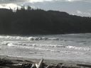 ./images/calvert/beach/20160222/beach20160222_120003.jpg