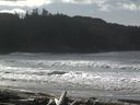./images/calvert/beach/20160222/beach20160222_121001.jpg