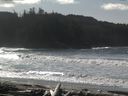 ./images/calvert/beach/20160222/beach20160222_121501.jpg