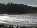 ./images/calvert/beach/20160222/beach20160222_123002.jpg