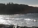 ./images/calvert/beach/20160222/beach20160222_123501.jpg