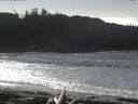 ./images/calvert/beach/20160222/beach20160222_124001.jpg