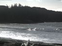 ./images/calvert/beach/20160222/beach20160222_130003.jpg