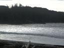 ./images/calvert/beach/20160222/beach20160222_131003.jpg