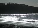 ./images/calvert/beach/20160222/beach20160222_132502.jpg