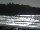 ./images/calvert/beach/20160222/beach20160222_133503.jpg