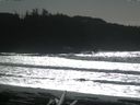 ./images/calvert/beach/20160222/beach20160222_134002.jpg