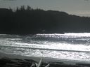 ./images/calvert/beach/20160222/beach20160222_135003.jpg