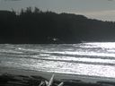 ./images/calvert/beach/20160222/beach20160222_140002.jpg