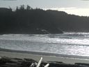 ./images/calvert/beach/20160222/beach20160222_143503.jpg