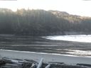 ./images/calvert/beach/20160223/beach20160223_084002.jpg