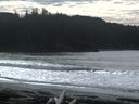 ./images/calvert/beach/20160223/beach20160223_130003.jpg