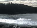 ./images/calvert/beach/20160223/beach20160223_130502.jpg
