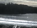 ./images/calvert/beach/20160223/beach20160223_131503.jpg