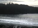./images/calvert/beach/20160223/beach20160223_132002.jpg