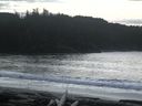 ./images/calvert/beach/20160223/beach20160223_132503.jpg