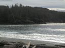 ./images/calvert/beach/20160223/beach20160223_141001.jpg