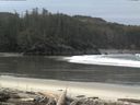./images/calvert/beach/20160225/beach20160225_100501.jpg