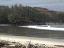 ./images/calvert/beach/20160225/beach20160225_101001.jpg